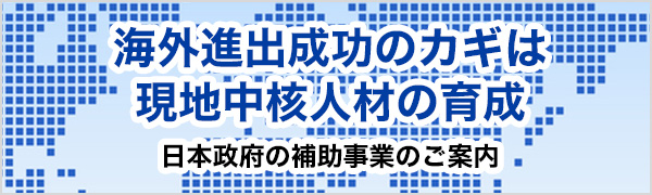 日本政府の補助事業のご案内